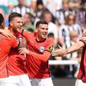 Joel Veltman of Brighton & Hove Albion celebrates scoring his team's first goal with teammates during the Premier League match at Newcastle United