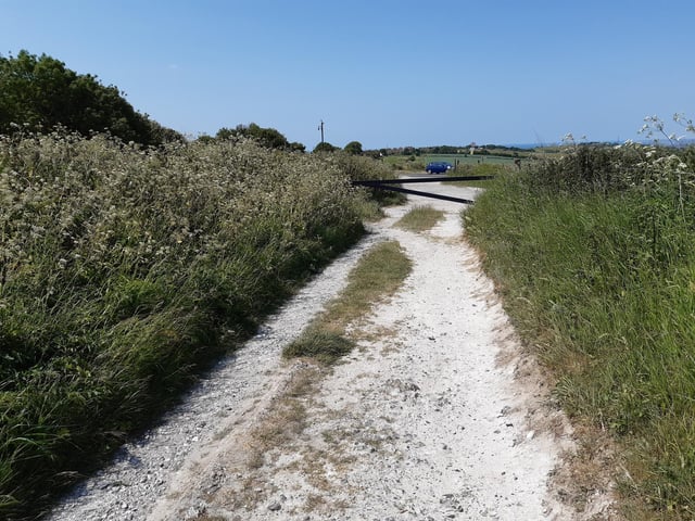 Carry on walking until you come to a metal gate and continue out to Falmer Road. Turn left and walk past the Castle Hill car park, then on your left, just into Bexhill Road, you will find the bus stop for the No.22 back into Brighton.