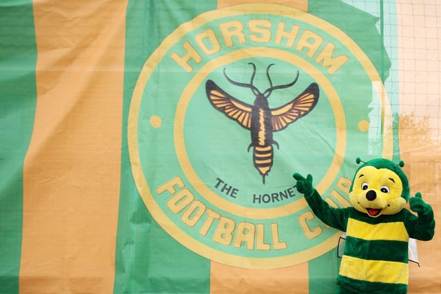 Action from Horsham v Concord
