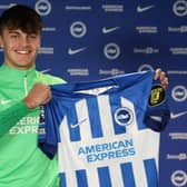 Brighton and Hove Albion have signed Josh Robertson from Sunderland