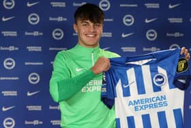 Brighton and Hove Albion have signed Josh Robertson from Sunderland
