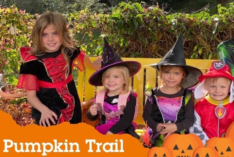 St Michael's Hospice, in St Leonards has a children's Pumpkin Trail through its gardens on Saturday October 21, from 10am - noon. Discover the name of the Witch's cat for a chance to win a ghostly prize. Children £3.50, adults £1.50. Refreshments included No booking required - just turn up on the day.