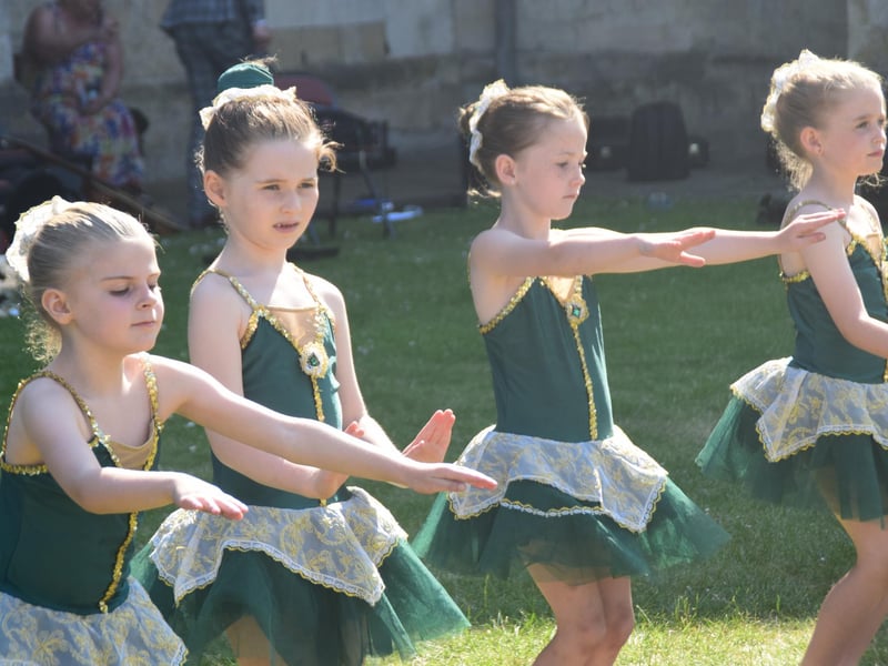 Festival of Chichester launch