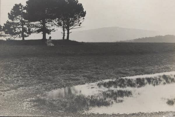 Cissbury dew pond in 1929, showing the north side
