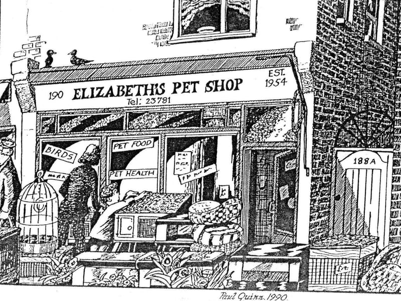 Elizabeth's Pet Shop. Photo from our archive.