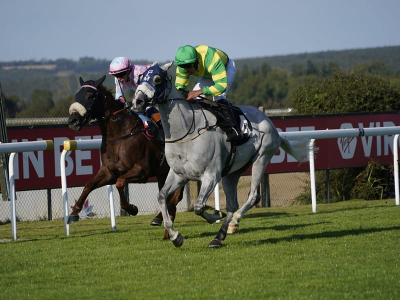 Friday evening racing kicks off bank holiday weekend at Goodwood