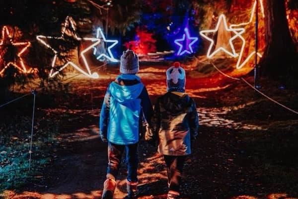 Christmas At Bedgebury 2023 sparkles with magical new showstoppers on mile-long illuminated trail
