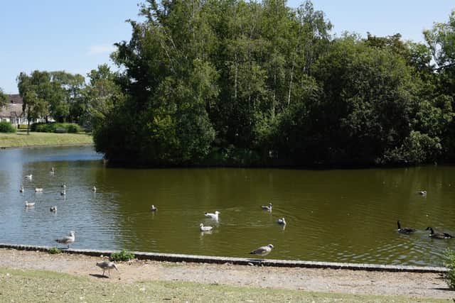Hailsham Common Pond. Picture from Hailsham Town Council
