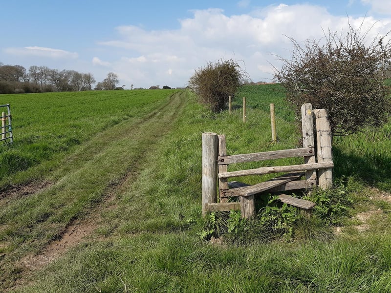 There is another stile but the gate was wide open, just carry on but with the fence now on your right.