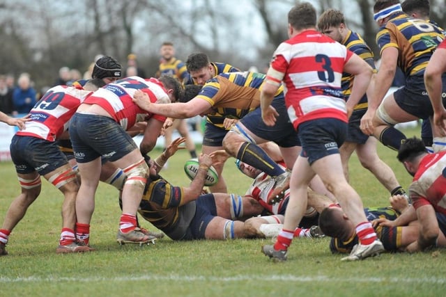 Action from Worthing Raiders' win over Dorking in National two east at Roundstone Lane