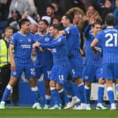 Brighton and Hove Albion’s Premier League title credentials have sparked debate. (Photo by Mike Hewitt/Getty Images)