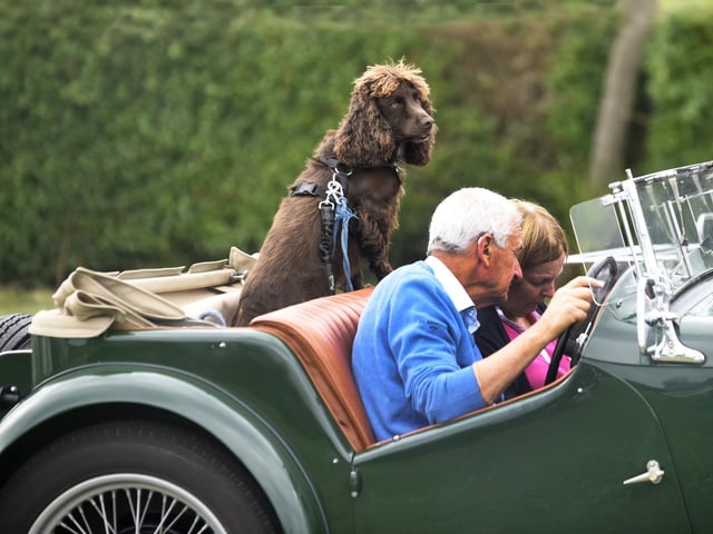 MG owners South Downs Run 2024 (Photo by Jon Rigby)