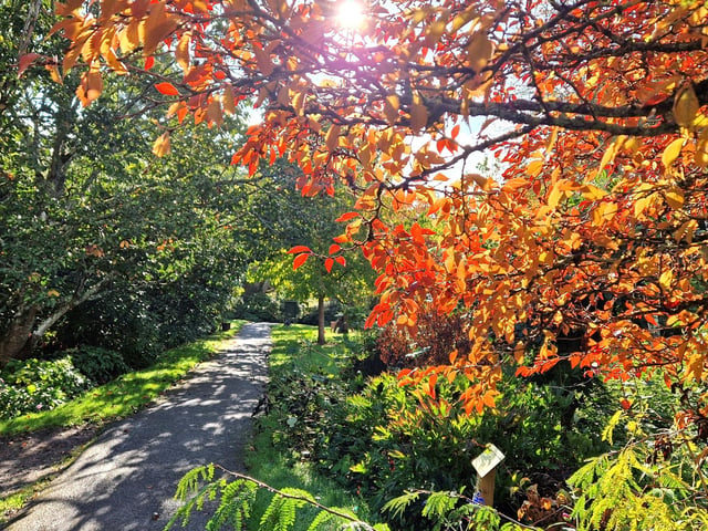 Borde Hill Halloween event and autumn colour. HR26111901 Pic Hollie Robards/Iconic Media Group