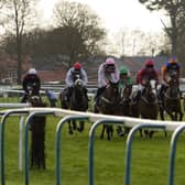 They raced at Fontwell on Boxing Day - but have been thwarted by the weather since | Picture: Clive Bennett