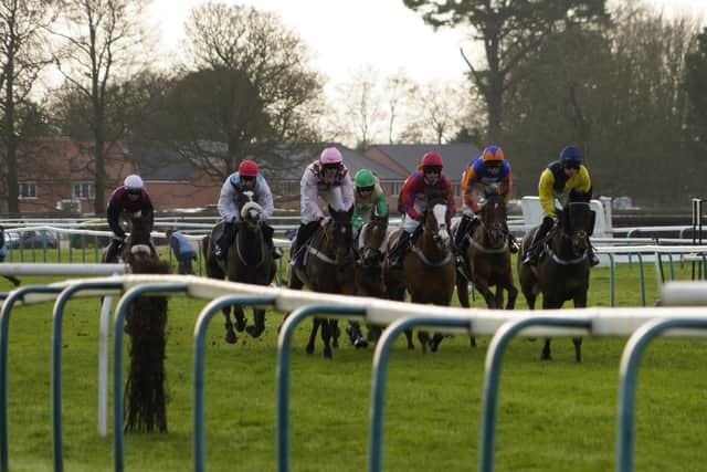 They raced at Fontwell on Boxing Day - but have been thwarted by the weather since | Picture: Clive Bennett