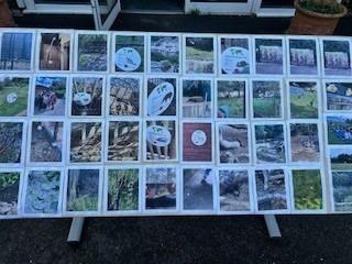 A display at Marwell Zoo.