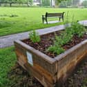 The new raised beds in Tarring Park. Picture: Elaine Hammond