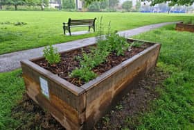 The new raised beds in Tarring Park. Picture: Elaine Hammond