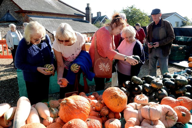 Customers choosing pumpkins in 2018
