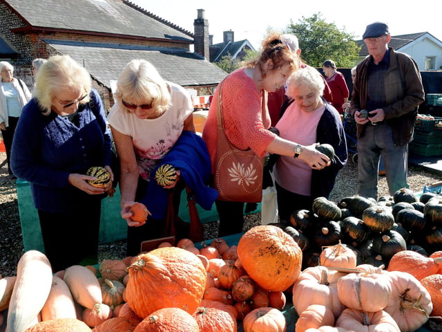 Customers choosing pumpkins in 2018