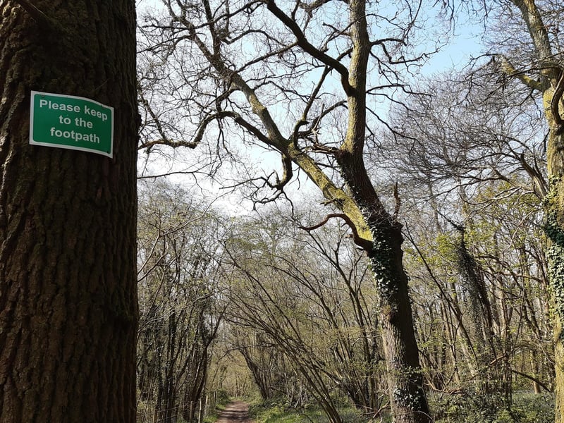 I found this area had the best bluebells but with that comes a warning - stick to the footpath! Please don't be tempted into the wonder of the blue carpet because these precious plants are protected.