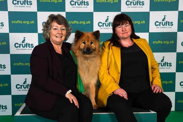 A Brighton dog owner surpassed her own expectations by earning a Best of Breed prize at Crufts.