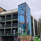 The mural on the side of the Kingsgate Car Park in Crawley town centre | Picture: Mark Dunford