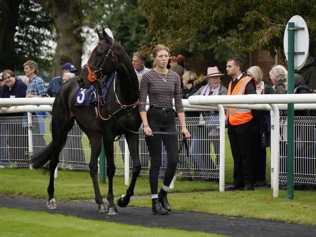 September jump racing at Fontwell Park
