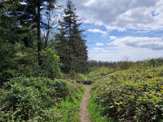 It's lovely and peaceful this way