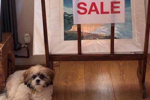 Helen Brown - Artwave venue 164 - 111 Hoddern Ave Peacehaven
