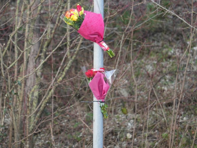 Sussex Police said part of the A27 was closed for several hours on Tuesday, January 9, after a man died in a crash between Falmer and Lewes