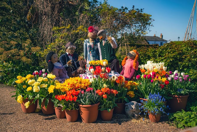 Arundel Castle's Tulip Festival 2023