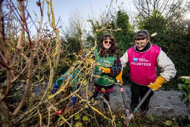 American Express colleagues hedge laying and coppicing in the South Downs National Park