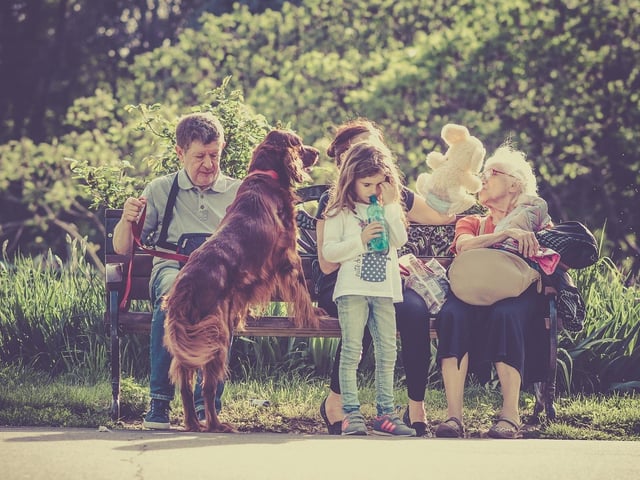 Everyone will be desperate to meet their new four-legged family member but try to do this one person at a time - calmly and quietly. Keep a close eye on any little ones and discourage them from picking him up – place him in their lap instead to cuddle.