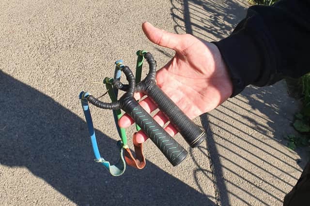 Hastings Police have responded to reports of young people using catapults to injure wildlife in Alexandra Park.
