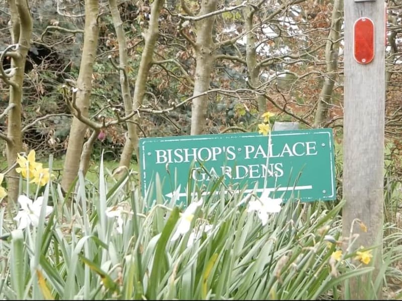 These gardens are a gem nestled in the heart of the city. Despite its central location, these gardens could easily be missed and remain much quieter than the city's other parks and green spaces. However, this makes it the perfect place for a quiet walk or to sit down with a book. Most of the work that goes into maintaining the tranquil gardens is undertaken by a team of dedicated volunteers. The Friends of Bishop’s Palace Garden Chichester are admirably dedicated to preserving the secret gardens, which are home to a large number of significant trees, one of which is believed to be around 400 years old!
