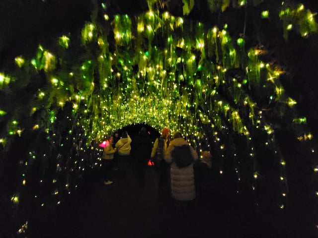 An enchanting winter lantern trail at Wakehurst Place