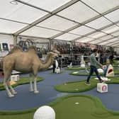 The new crazy golf course is at Camping World, Brighton Road, Horsham