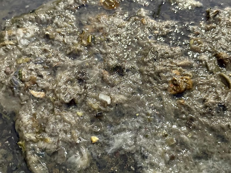 Southern Water has apologised to residents affected by a sewage leak in Southwick – with video footage showing 'raw excrement' covering local roads.