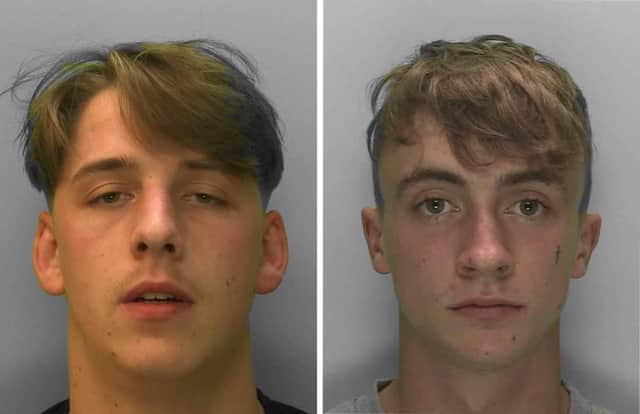 Sussex Police said that Henry Harris, left, and Charlie Hale, right, carried out a 'vicious and unprovoked attack' on a woman in Burgess Hill