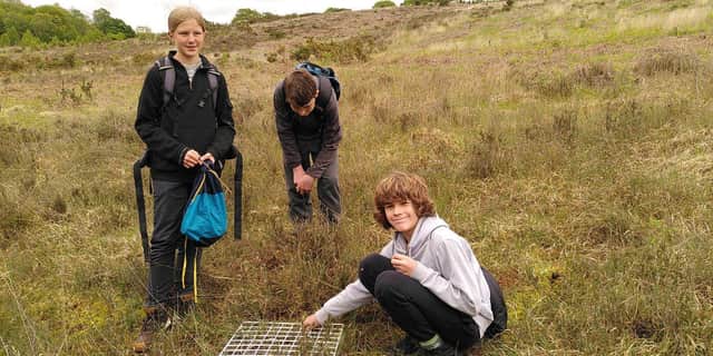 Xavier left and Connor right surveying rare sundew plants on Ashdown Forest  