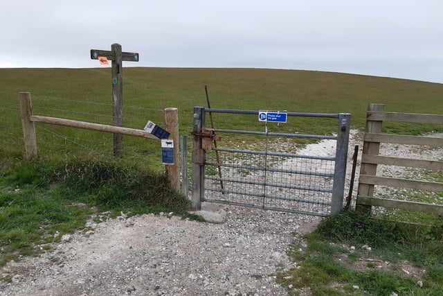 Continue to follow the South Downs Way signs through this gate