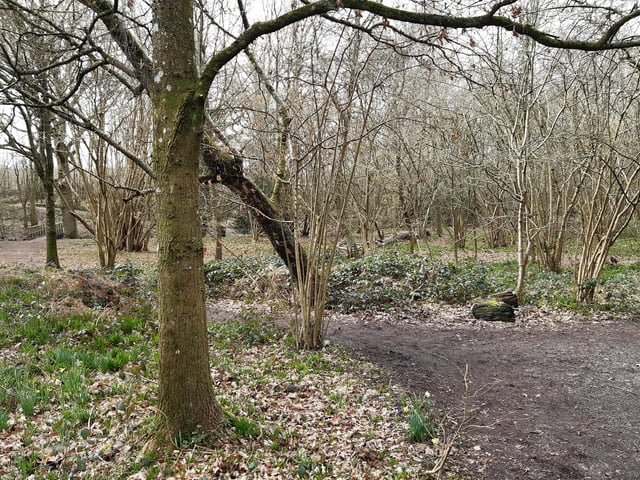 Follow the path around to the left to get to the bridge