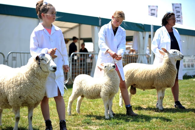 The South of England Show took place at the weekend