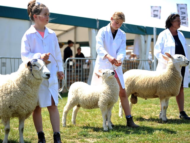 The South of England Show took place at the weekend