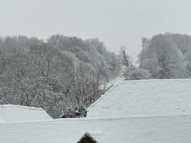Cocking Hill saw heavy snowfall this morning (March 8)