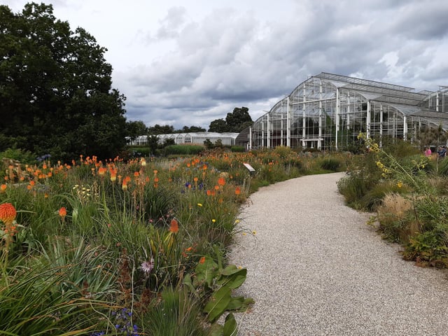RHS Garden Wisley is a great day out, and it's only just outside of Sussex. Picture: Katherine HM