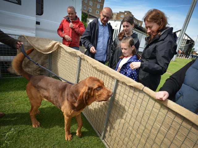 Bexhill Horse & Dog Show 2024.