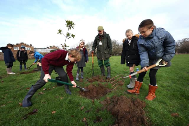Youngsters from Fishbourne Primary School help plant a new community orchard at Fishbourne Roman Palace