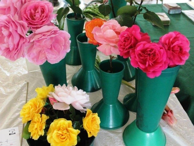 Yapton Cottage Gardeners’ Society held its first early summer flower show for three years and was pleased with the results